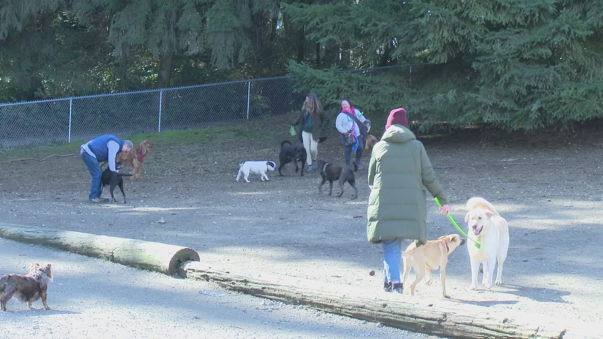 Seattle Parks and Recreation released a new study on off-leash dog park expansion.