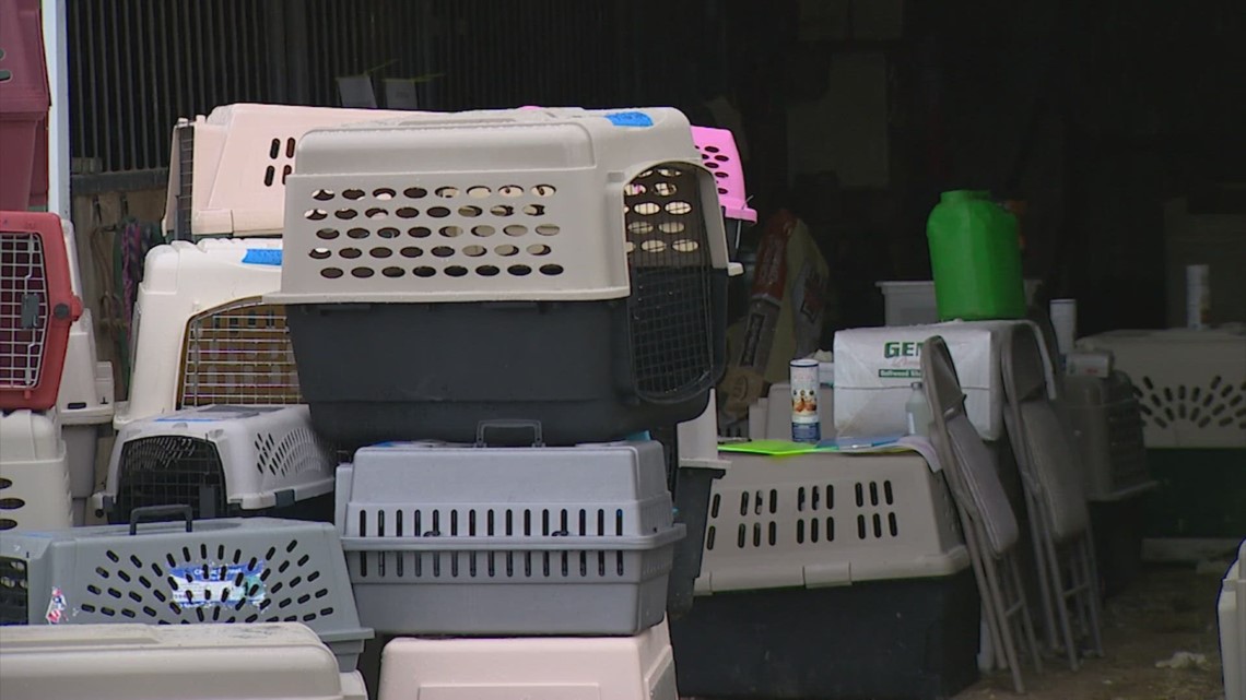 Over 200 animals living in 'deplorable conditions' seized from Sequim property - Vimarsana News