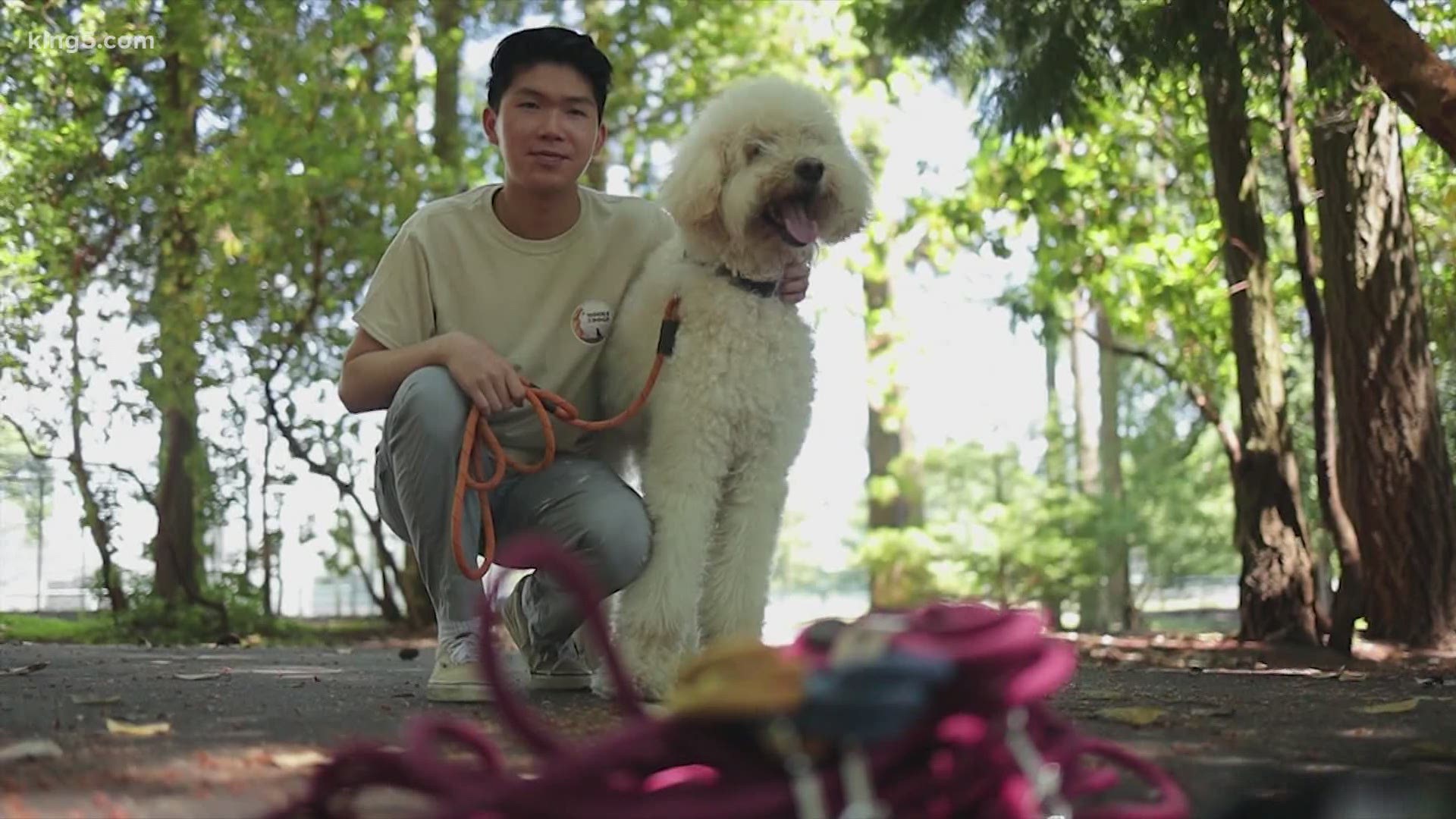 Redmond High School student using his summer to help his community during the pandemic with his nonprofit 'Rocks 2 Dogs' that recycles climbing ropes into leashes.