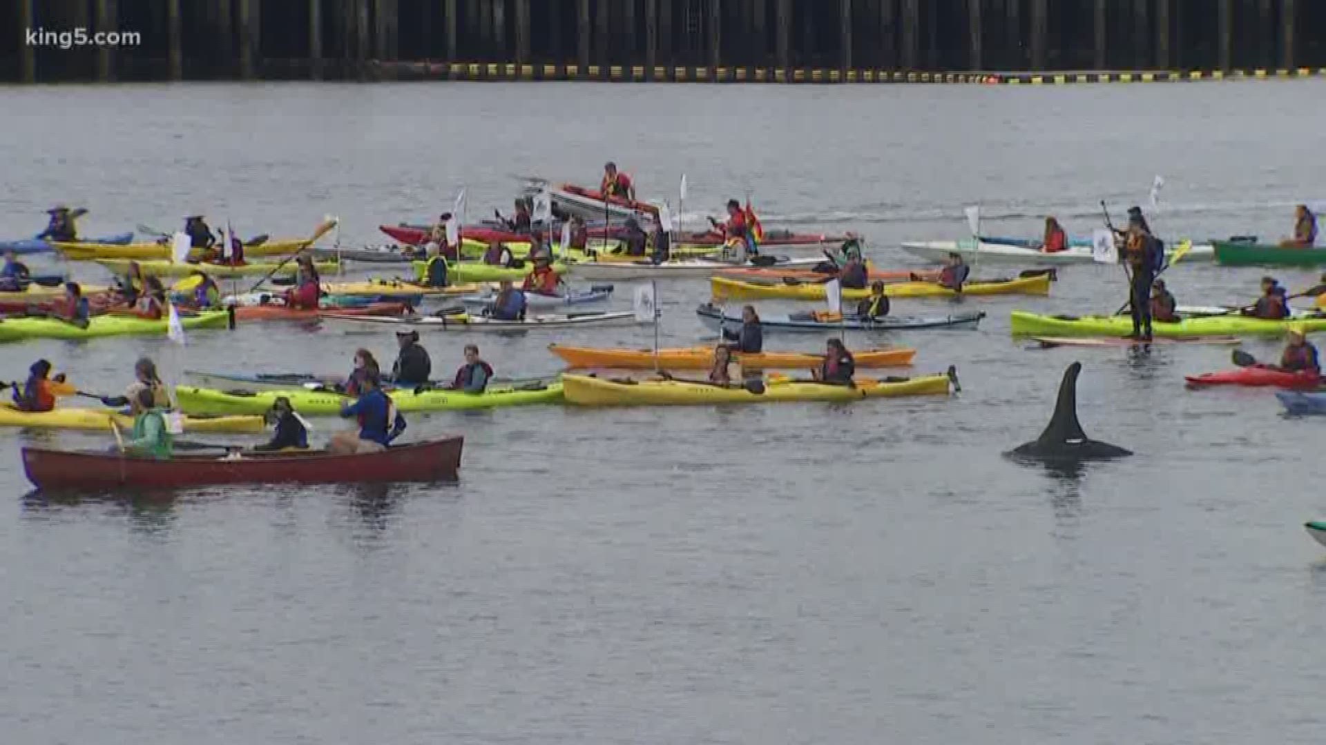 The protesters fear a disaster in the shared waters between Canada and Washington
