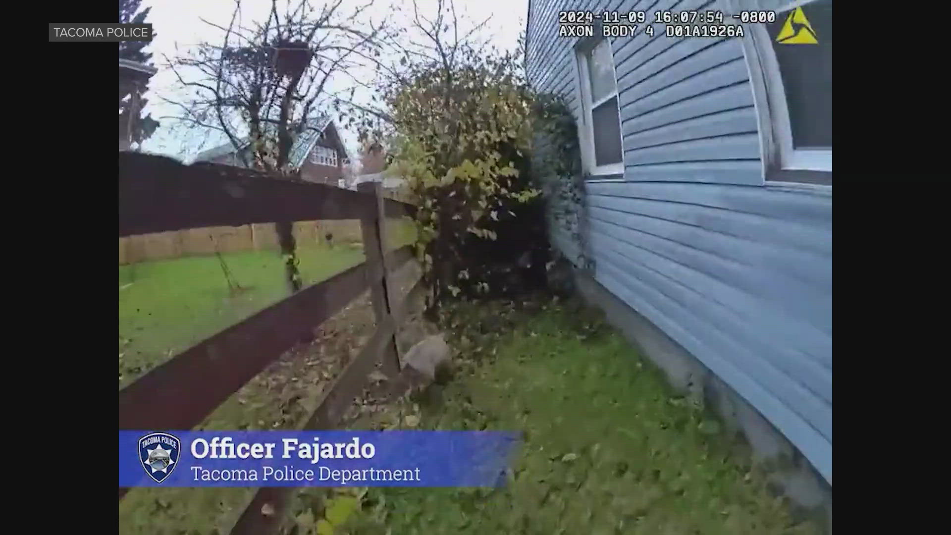 A neighbor called police after seeing the pig in her yard.