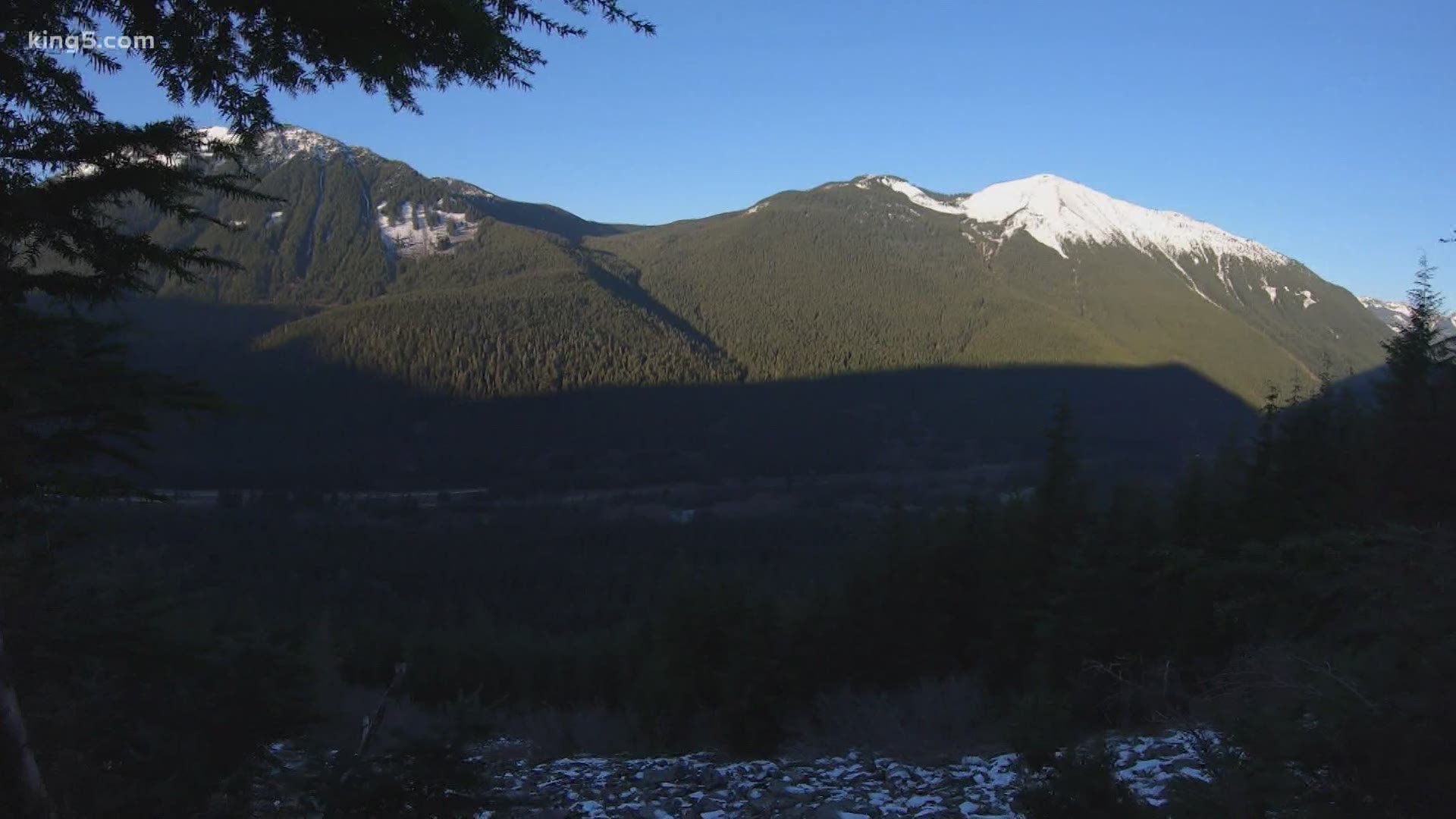 Here S How You Can Cut Down Your Own Christmas Tree In Washington King5 Com