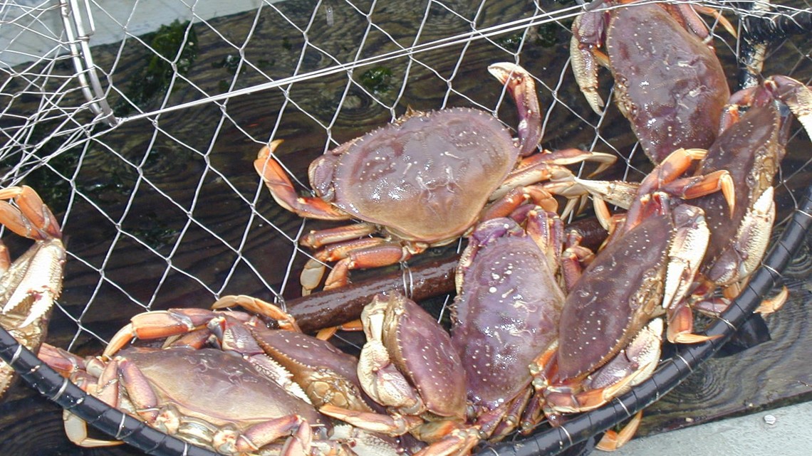 Crab Fishing Ban May Expand