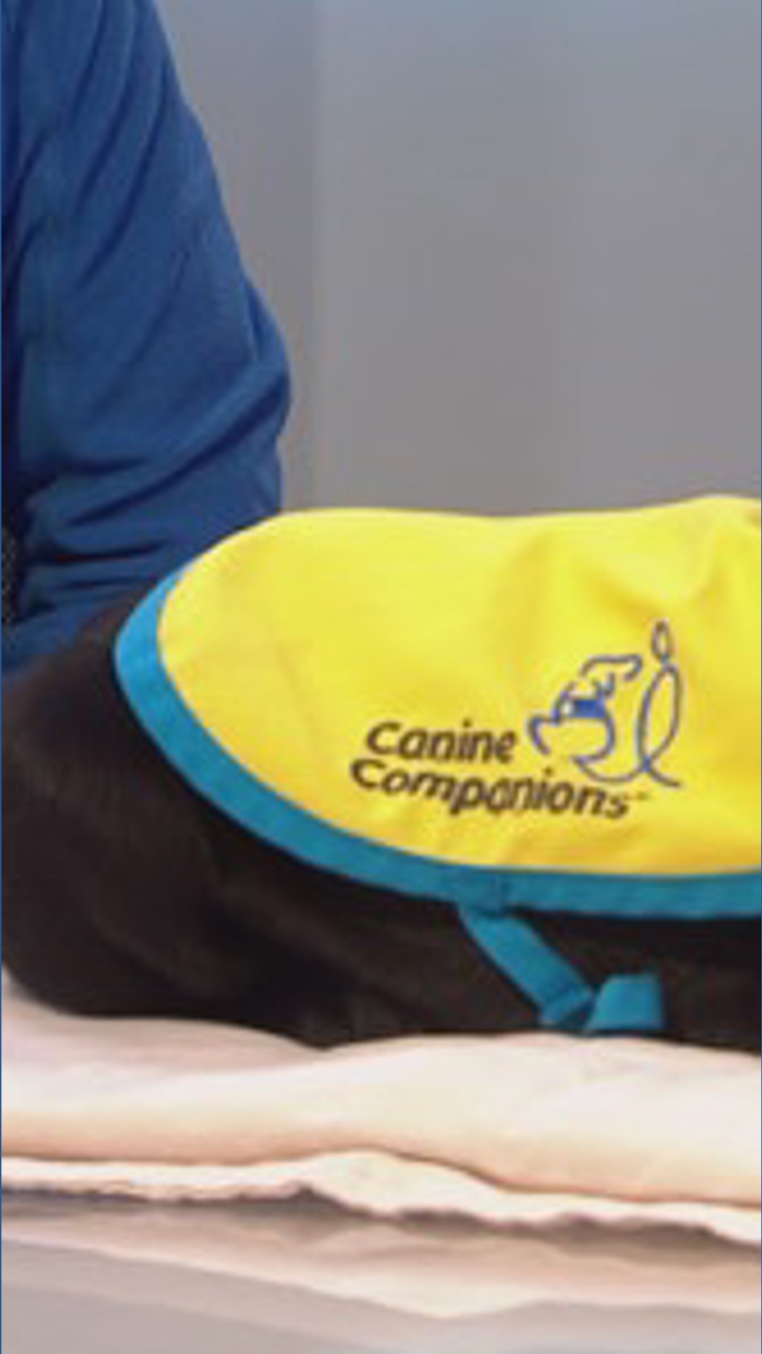 Puget Sound Canine Companions team wants you to think  puppy love  ahead of Valentine Day