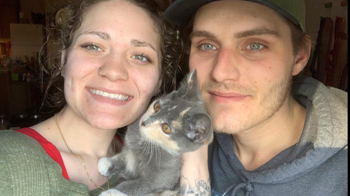 Good Samaritans reunite lost kitten with Alaska couple after she escaped on Washington ferry - Vimarsana News