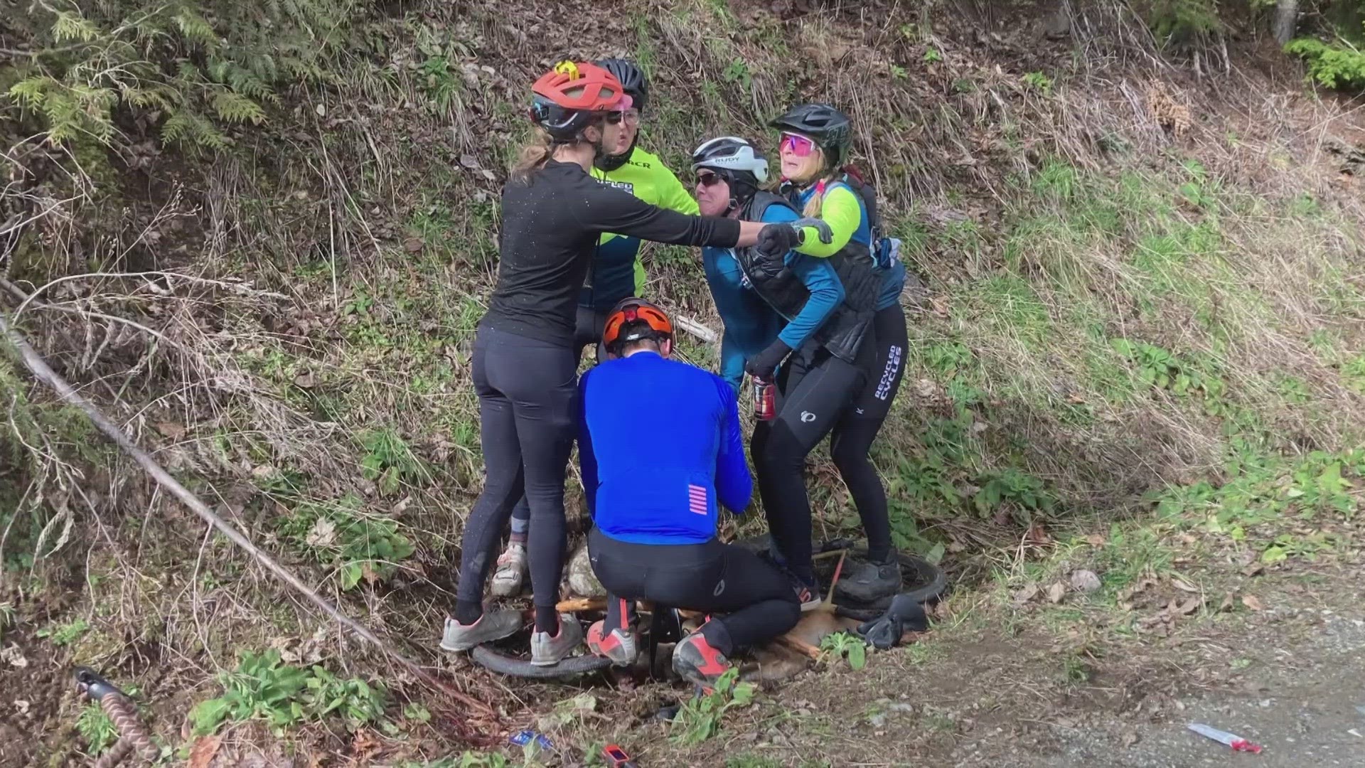 The group of cyclists, who were attacked on Feb. 17 near Snoqualmie, are sharing details of the incident that had them fighting for their lives.