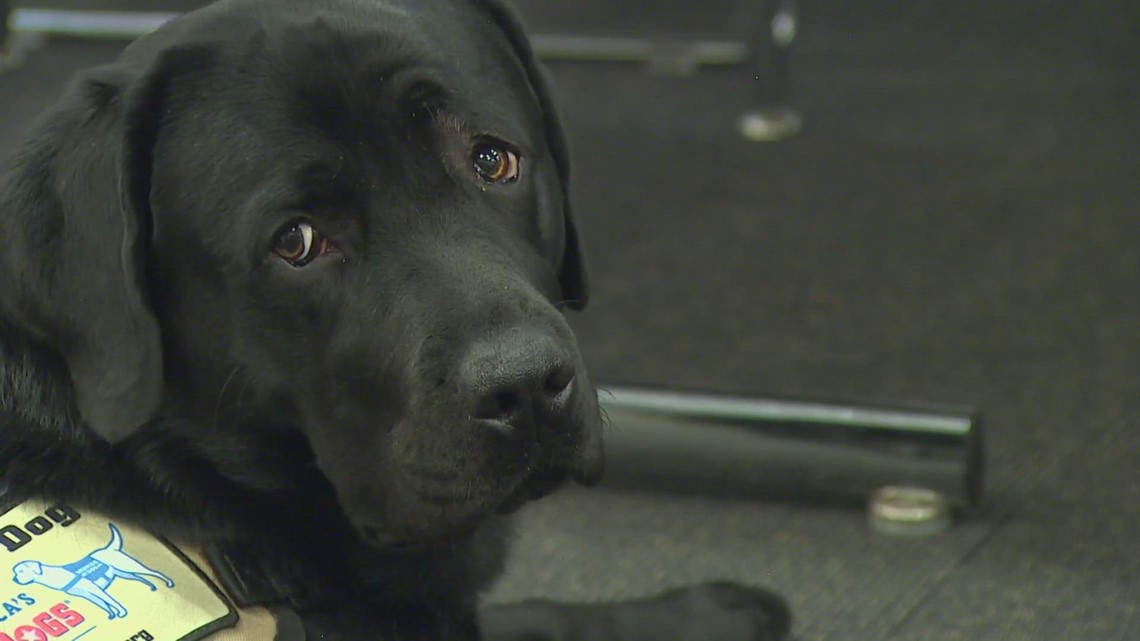 'We have to do be doing more': Seattle police unit focuses on officer wellness - Vimarsana News