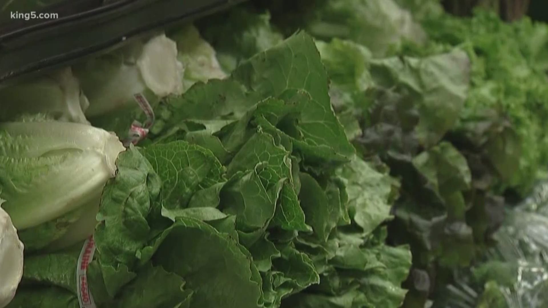 Lettuce warnings for christmas 2022