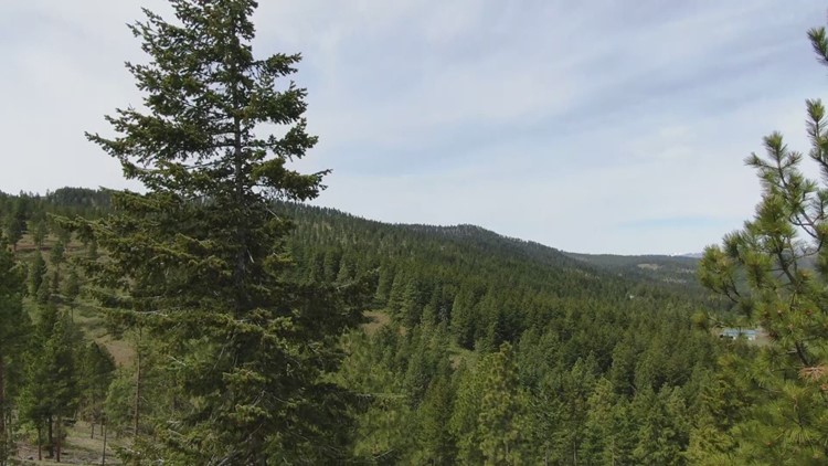 Public lands in eastern Washington reopen Thursday