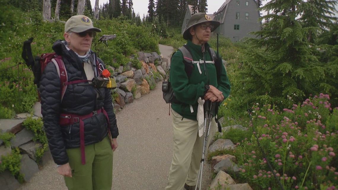 Volunteers helping protect meadows at Mount Rainier National Park ...
