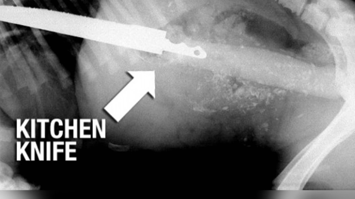 What should you do if your dog swallows something harmful?