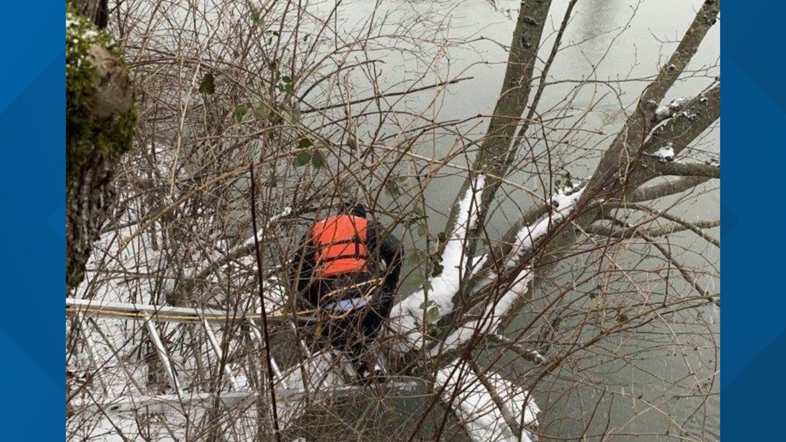 Dog rescued from freezing waters in Whatcom County | king5.com