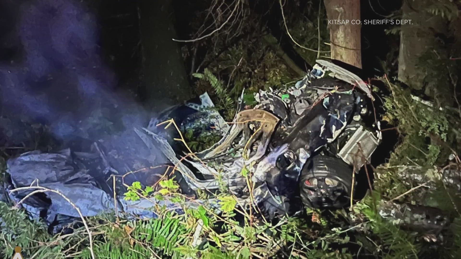 Two people and a dog were killed after a crash crashed into multiple trees and burst into flames overnight in Port Orchard.