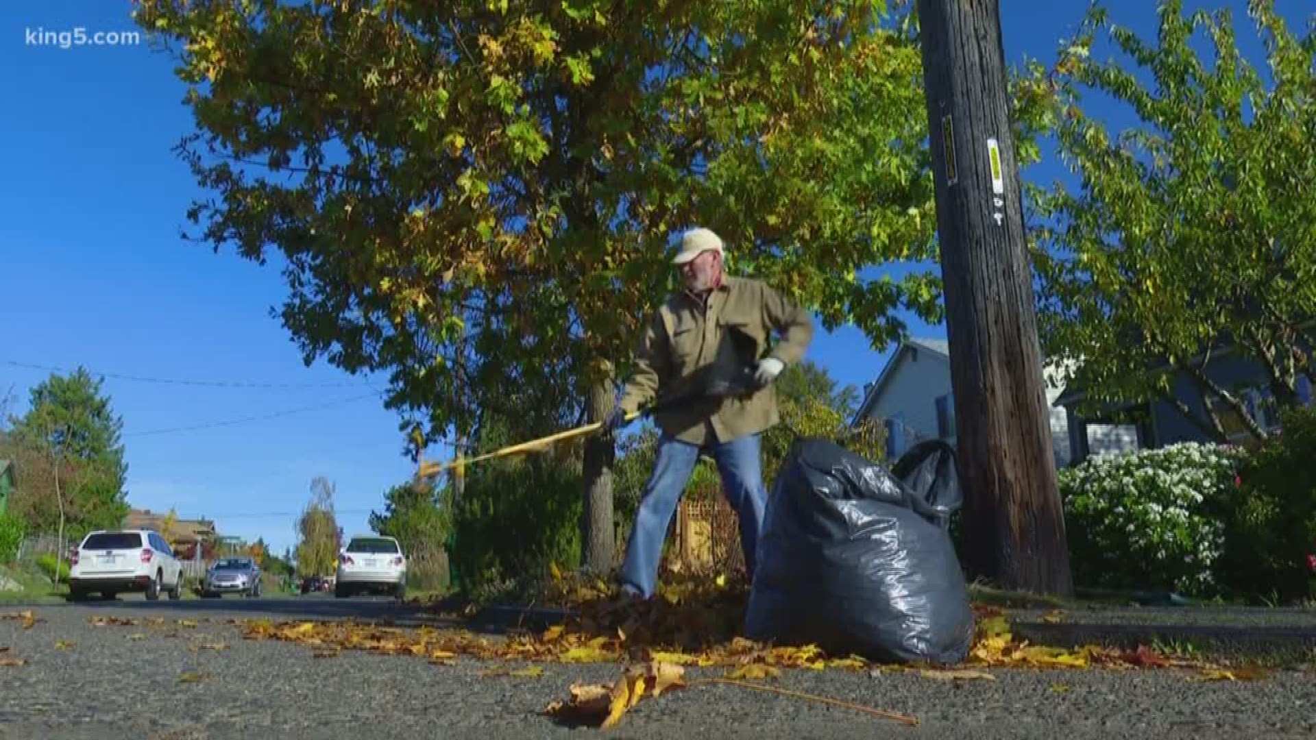 No Leaves in Fair Lawn Streets: Here's Where to Get Your Free Bags