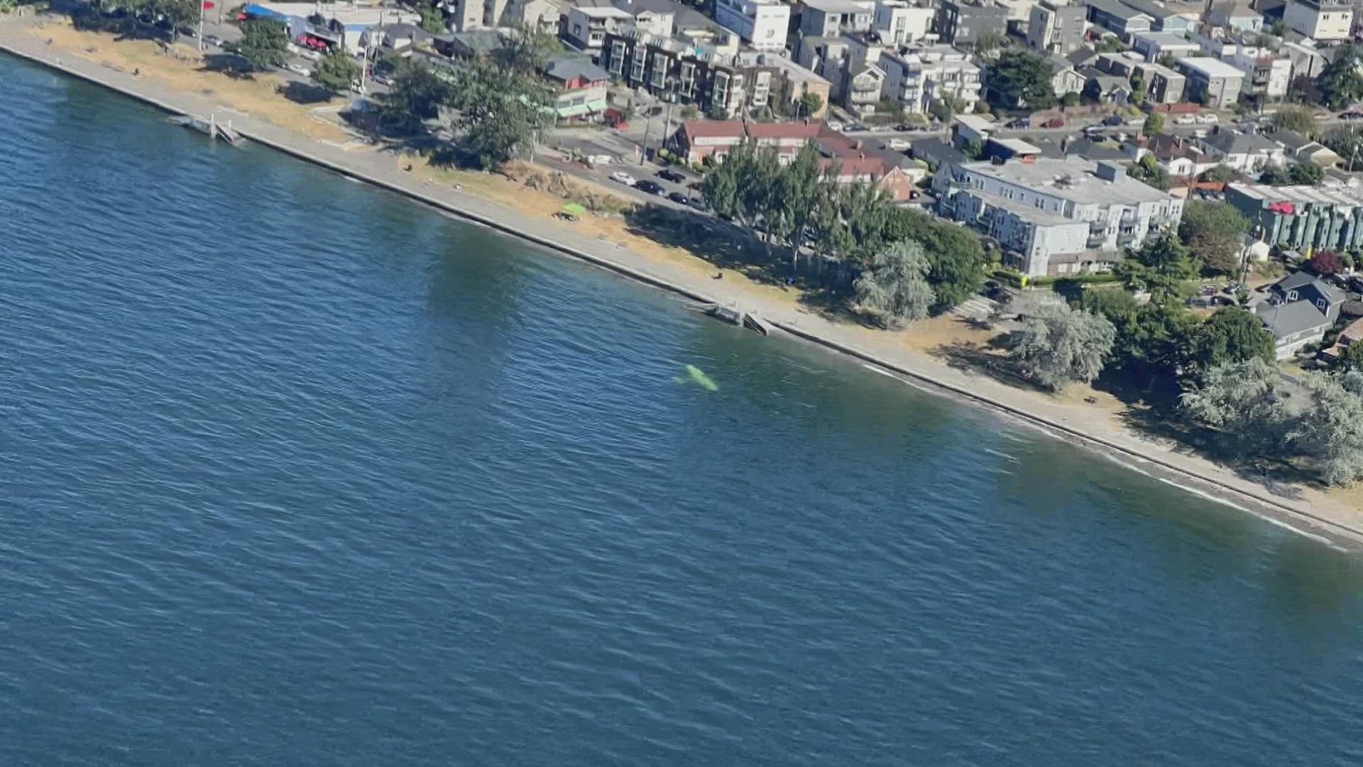 Small plane crashes off Seattle's Alki Beach | king5.com