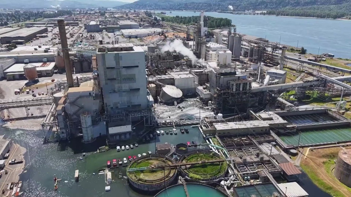 Tank that killed 11 at Longview paper mill did not require state or federal inspections