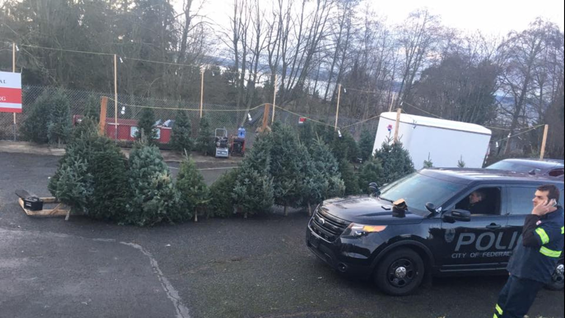 Man admits to stealing Christmas trees from farm near Puyallup