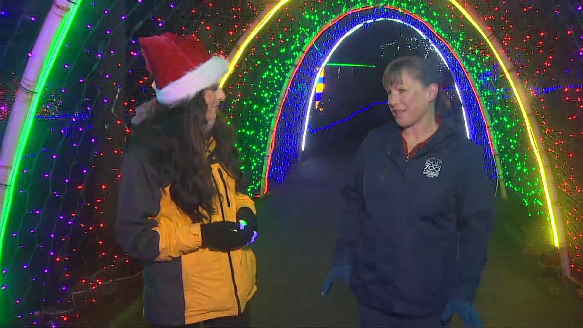 Zoolights at Point Defiance Zoo attracts families from far and wide