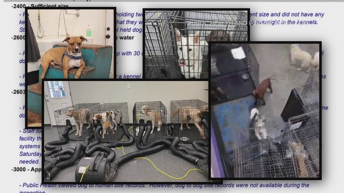 Records show a history of complaints against dog day care before facility fires - Vimarsana News