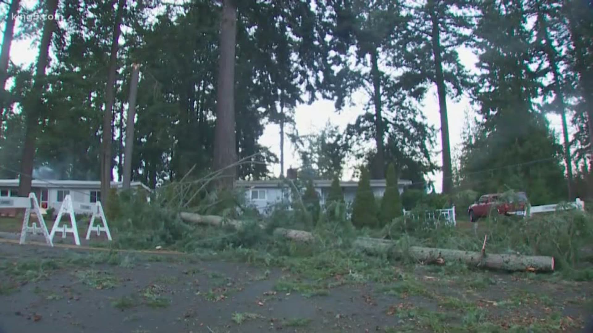 Freeway closures, downed trees, and power outages made for a tense Thursday as Western Washington was hit with another windstorm.