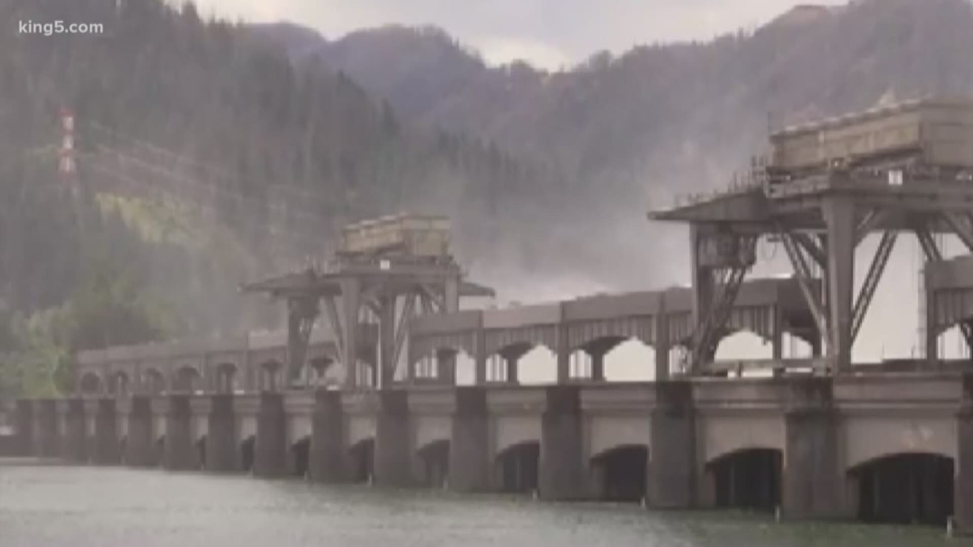 The Lummi Nation and the Yakama Nation are calling for the removal of three major hydroelectric dams on the Columbia River. KGW's Keely Chalmers reports.