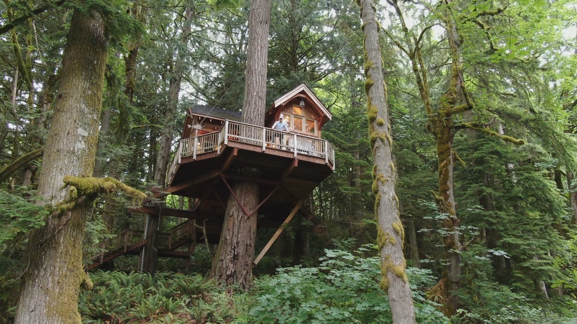 Built by a renowned treehouse master, it could be in your backyard