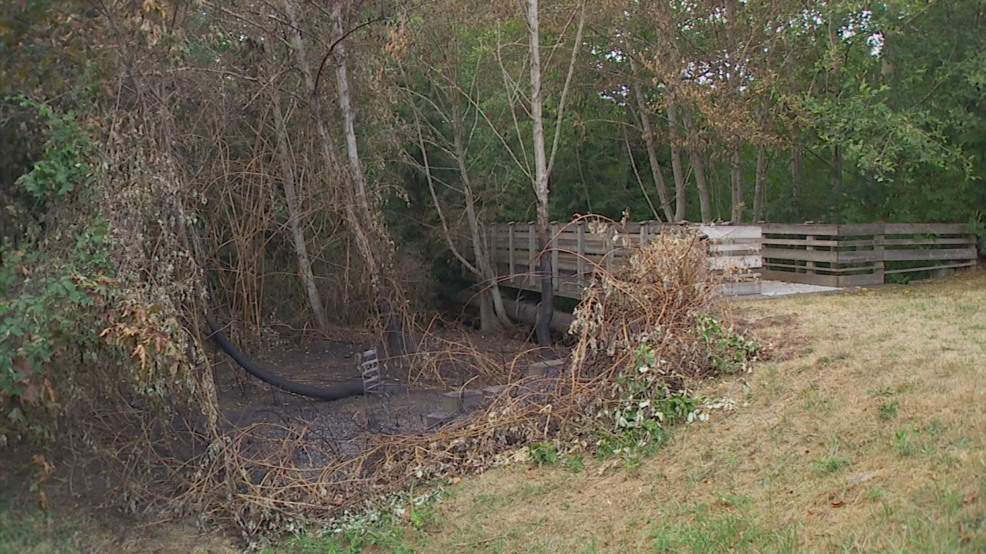 The fires date back to May 25 and have been set in wooded areas near residential neighborhoods.