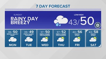 Western Washington Forecast