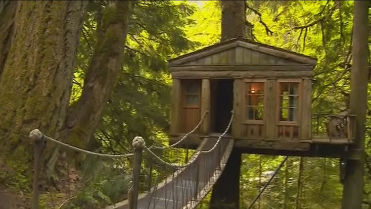 Best Quirky Place to Stay: TreeHouse Point