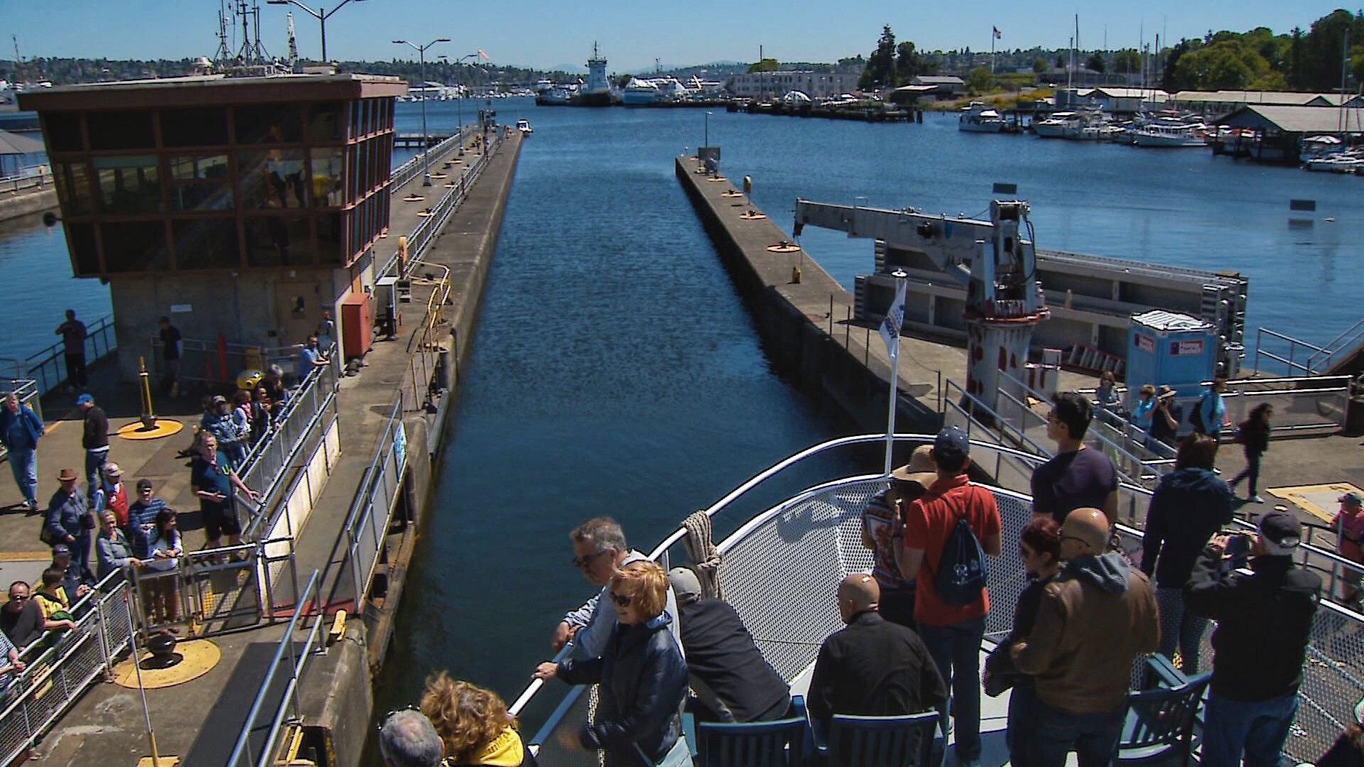 argosy ballard locks cruise