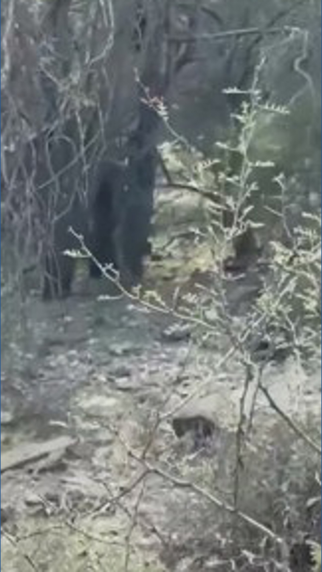 New clue found in Nancy Guthrie disappearance