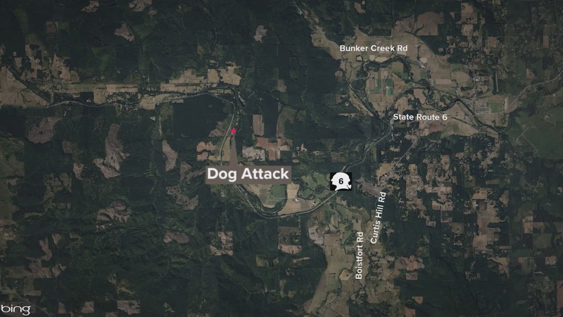 Elderly woman dies after being attacked by her own dogs | king5.com