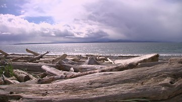 Timeline: High Surf Warning issued for southern Washington coast