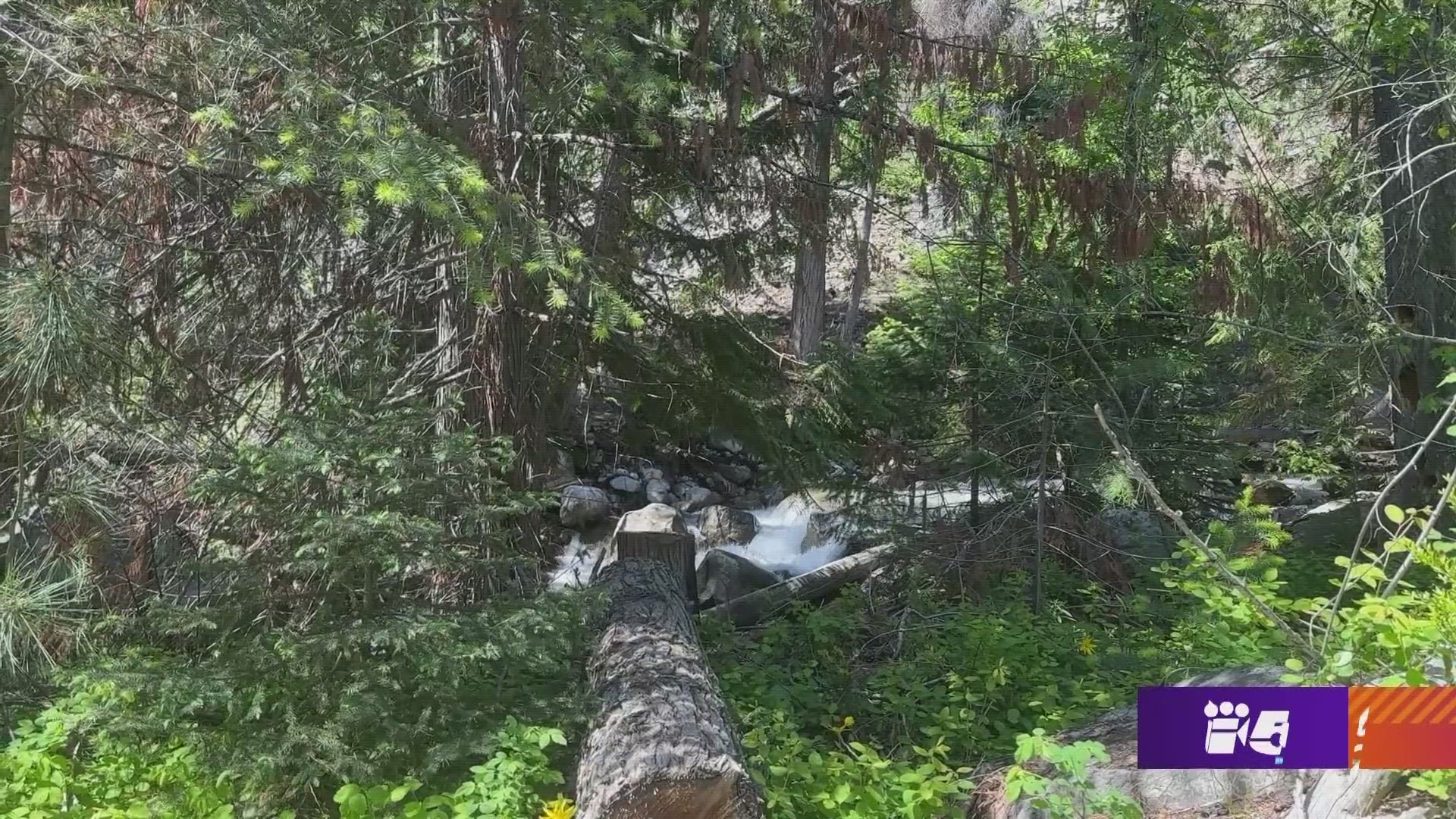 Falls Creek Falls is about 15 minutes outside Winthrop. #k5evening