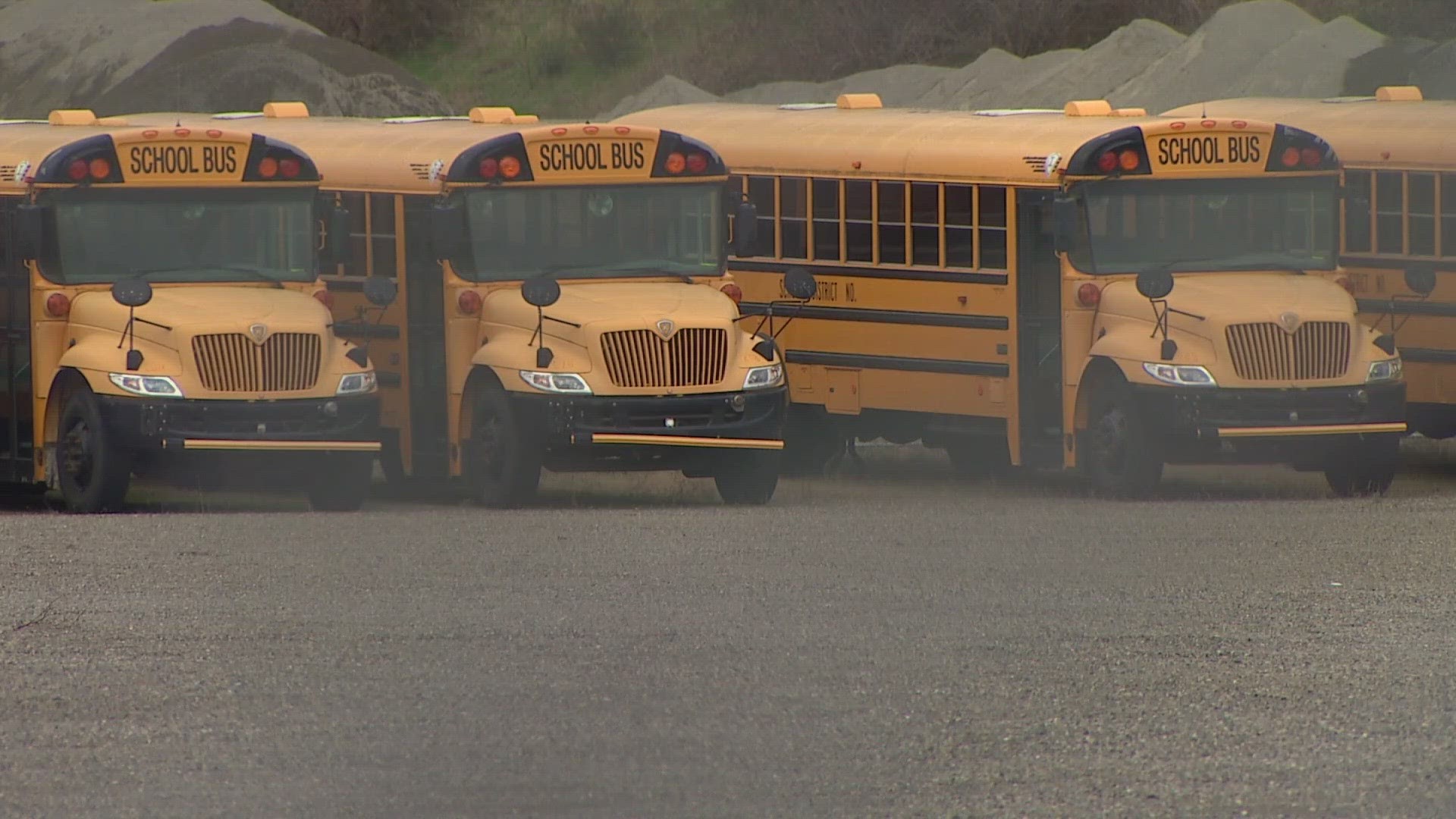 The district is not taking disciplinary action after the new driver hit a bush and took students to the wrong school.