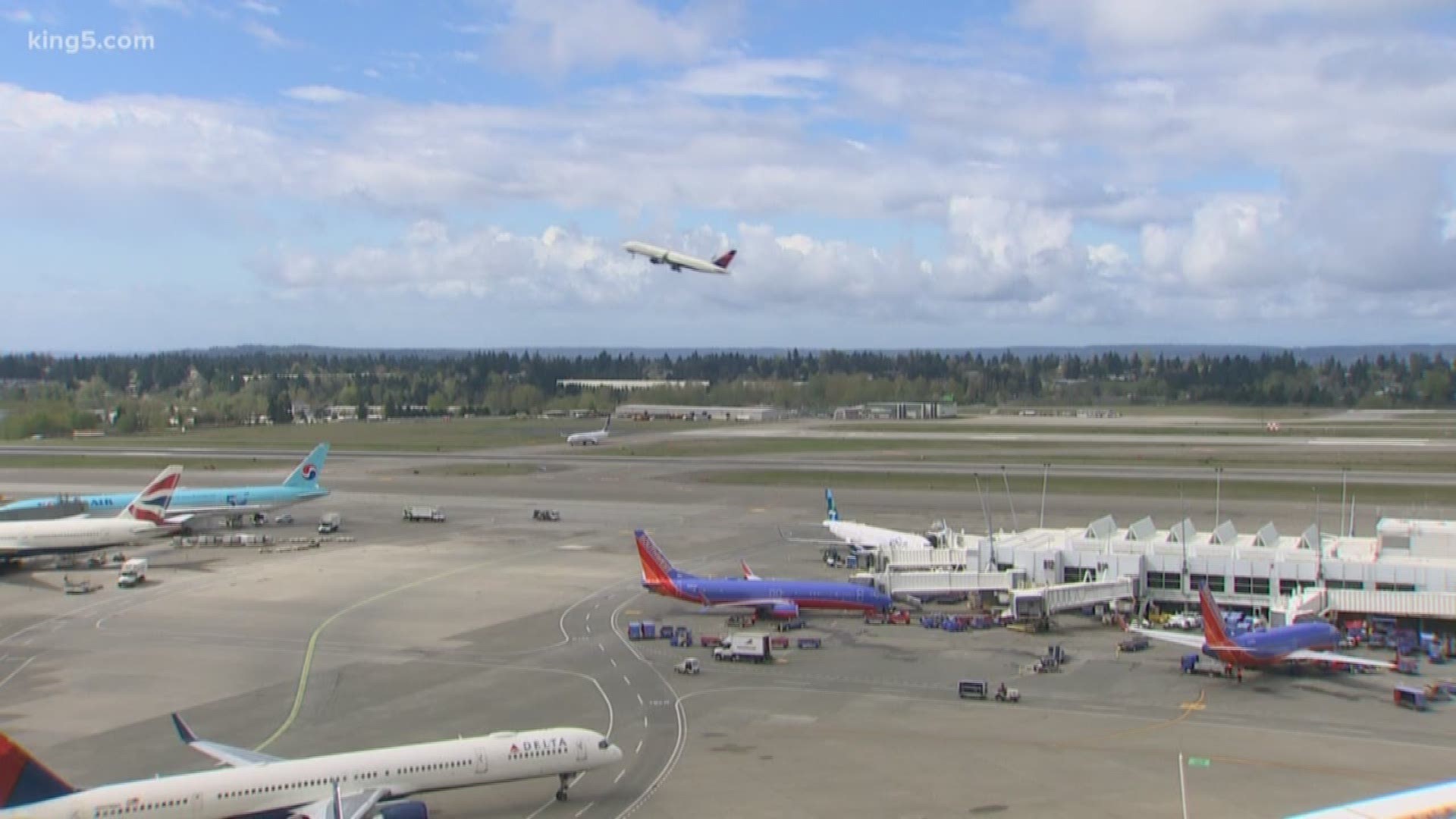 Sea-Tac is one of the busiest and fastest-growing airports in the country. Much of that growth is due to new and returning international flights. KING 5's Glenn Farley reports