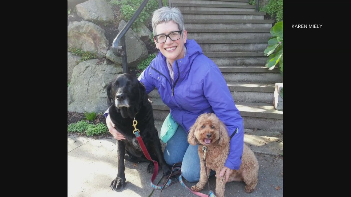 Beloved Seattle pet sitter recovering in hospital after hit-and-run