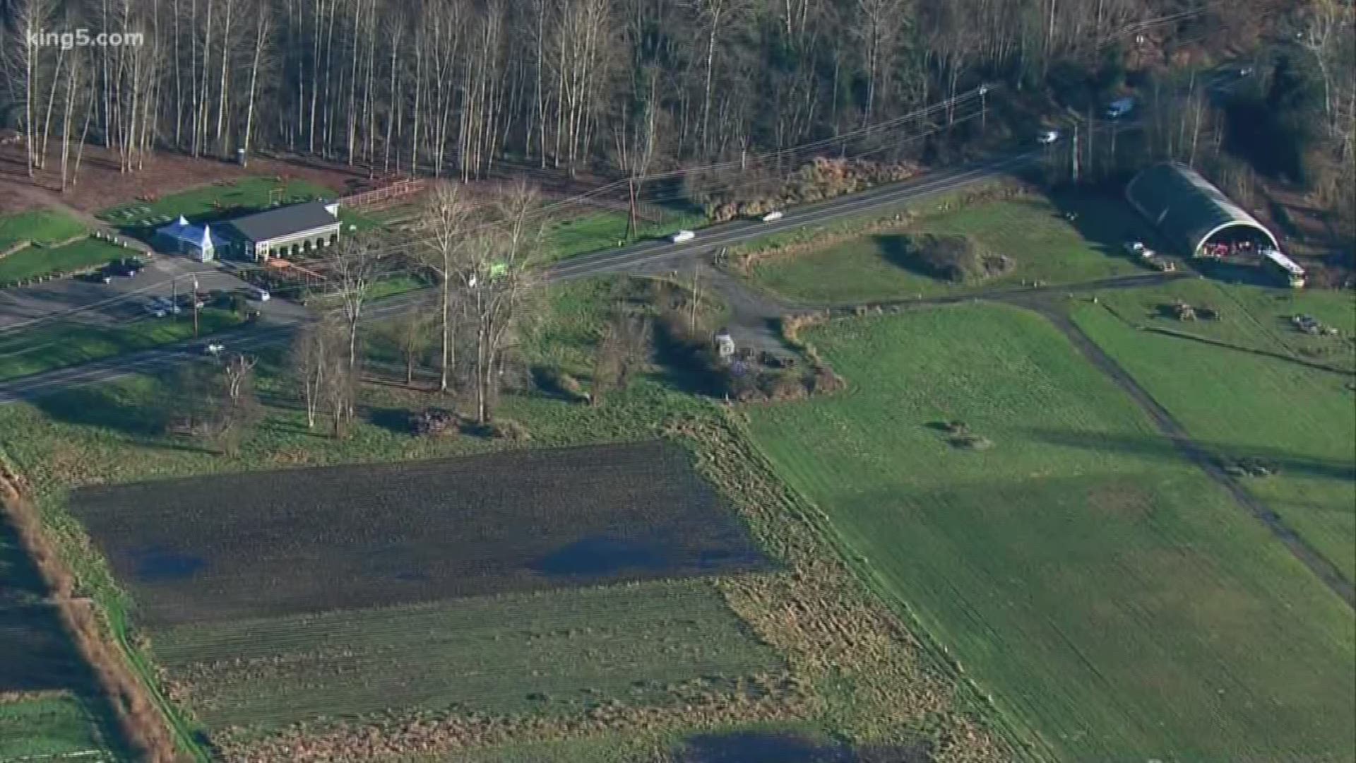 KING 5's Environmental Reporter Alison Morrow reports.