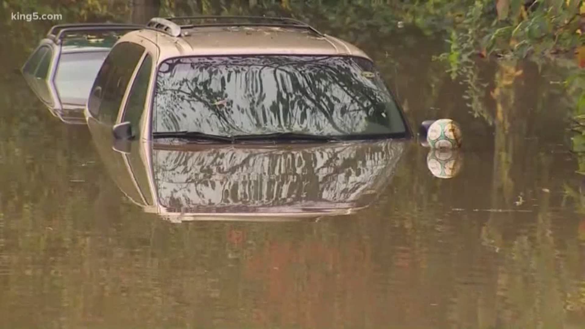 Several Washington rivers are under flood warnings.