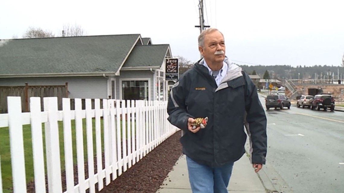 Gig Harbor Man Rewards Acts Of Kindness With Turtles 2270