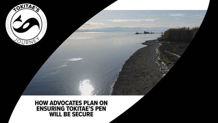 How advocates plan to ensure Tokitae's pen will be secure, protected