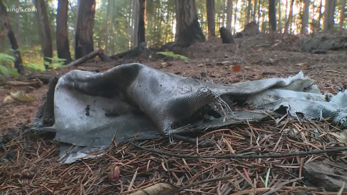 Stolen plane clean up responsibly on Ketron Island