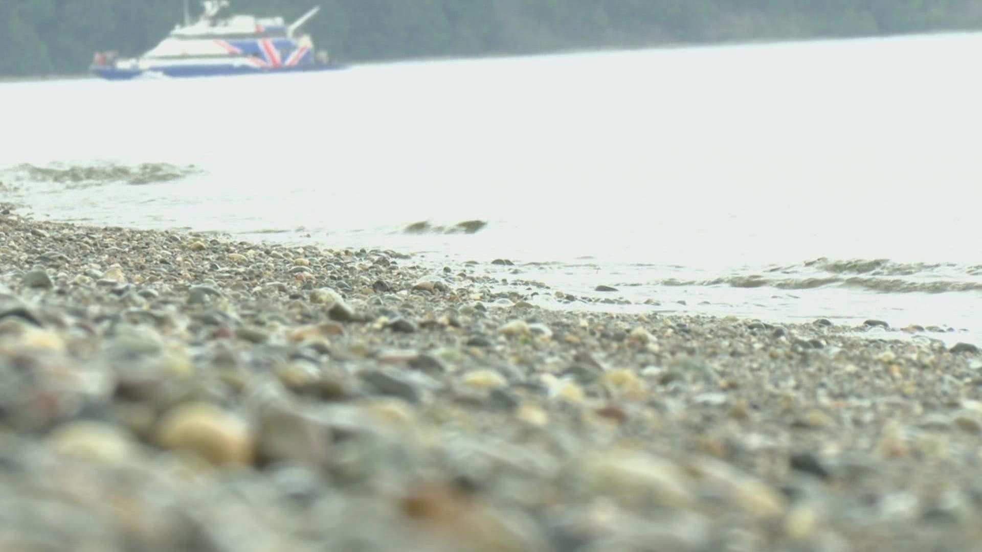 Metro Parks Tacoma closed the beach in February 2021 for the $6.3 million renovation project, a part of the 2015 Destination Point Defiance master plan.