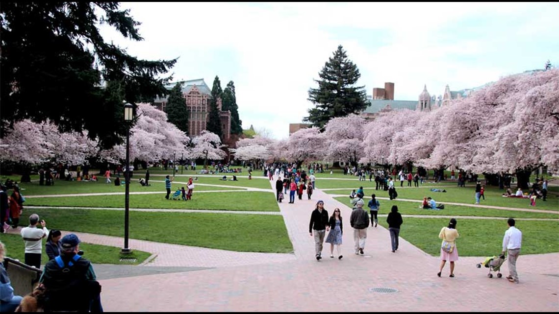 University of Washington named among most beautiful campuses in the US