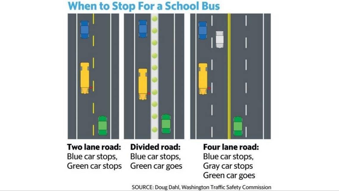 When Do I Need To Stop For A School Bus In Washington State King5