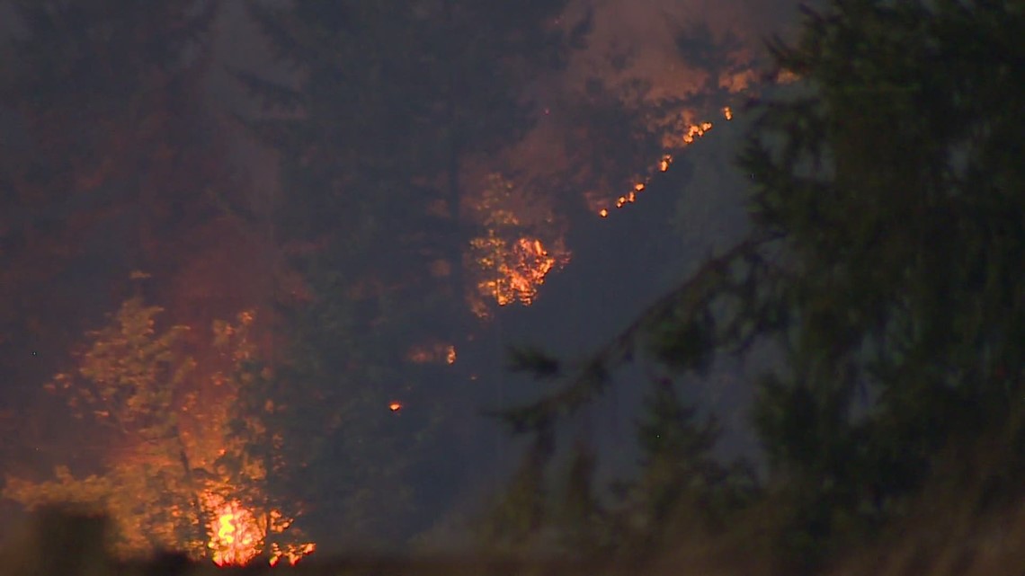 Burn ban in effect for Washington state parks, DNR lands due to high