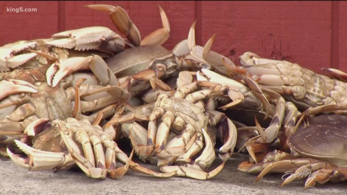 Dungeness crab season opens Tuesday in parts of Pacific Northwest