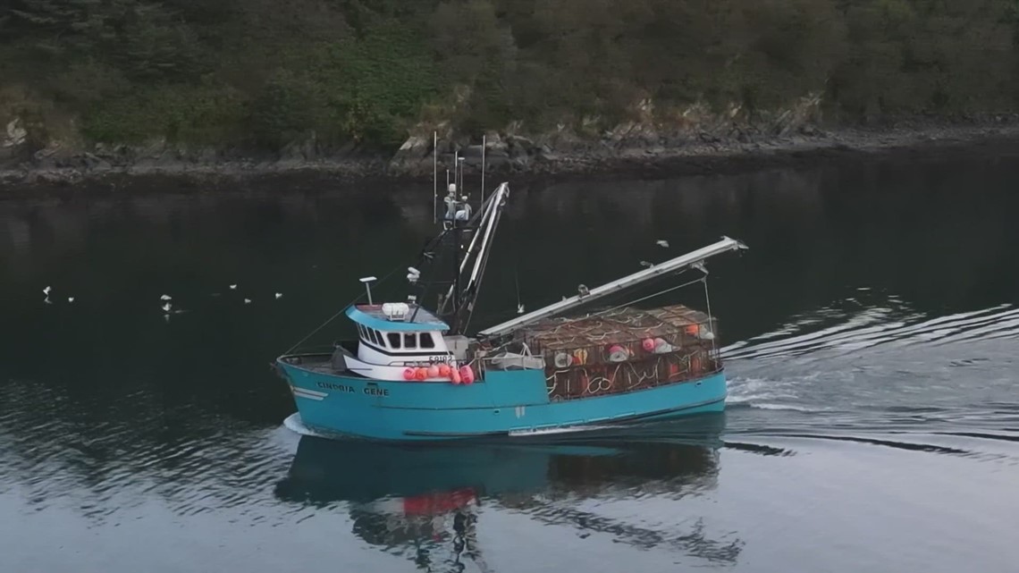 What killed the billions of Alaska Bering Sea snow crab? | king5.com