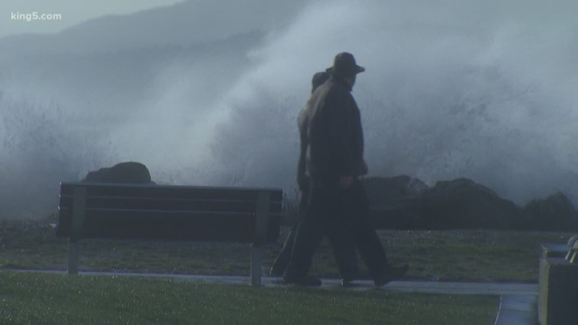 Wind batters the north Puget Sound in Bellingham. KING 5's Eric Wilkinson reports.