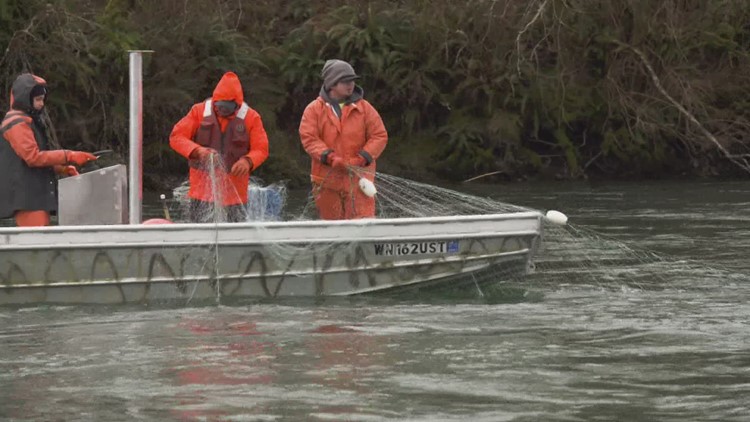 Blaming tribal fishing practices for decline in salmon is ‘misinformation,’ Washington officials say